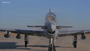 Plane Airplane GIF by el