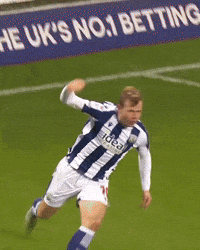 West Brom Wba GIF by West Bromwich Albion