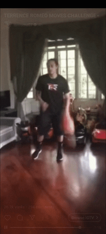 lionskingly giphyupload pba terrence romeo GIF