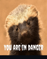 You Are In Danger GIF