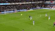 Soccer Futbol GIF by Brighton & Hove Albion Football Club