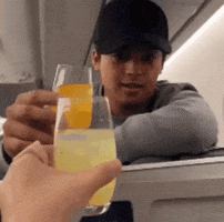 keidilexer drink cheers airplane flight GIF