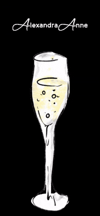 AlexandraAnne cheers champagne bridal prosecco GIF