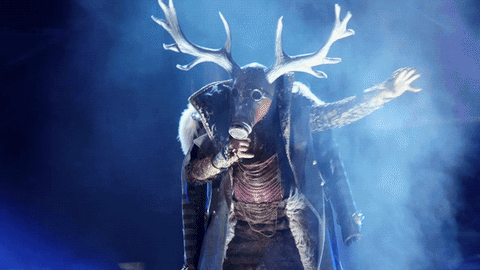 fox tv GIF by The Masked Singer