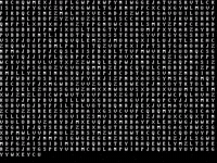 Coding Computer Science GIF by Squirrel Monkey