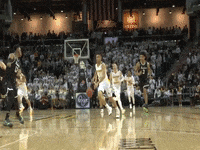nku nkunorse GIF by Northern Kentucky University Athletics