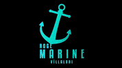 rogeyapi marine GIF