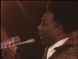 GIF by Muddy Waters