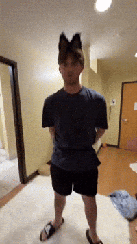 Wolf Tampa GIF by USF Dumb Events