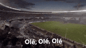 nuskin football soccer win futbol GIF