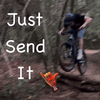 Just Send It GIF