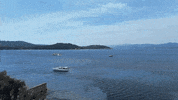 Mar France GIF by Casol