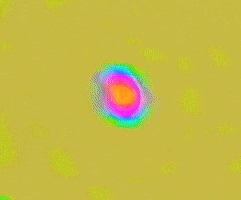 Toro GIF by Remi Wolf