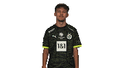 Sleepy Borussia Dortmund Sticker by Bundesliga