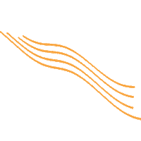 closetsingapore wave orange closetsg spring21 Sticker