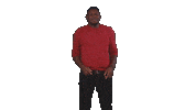 Bbnaija Waving Sticker by Big Brother Naija