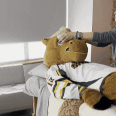 Mascots Relaxing GIF by Skidmore College