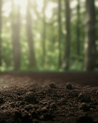 Convencaodevendas GIF by Vitalin