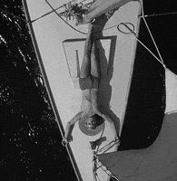 GIF by Fandor