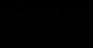 libelibeofficial djnatale GIF