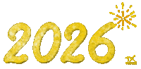 Happy New Year Fireworks Sticker by Dani K.