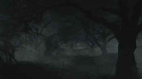 ThatArklayPlace giphyupload resident evil jill valentine chris redfield GIF