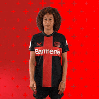 Bayer 04 Love GIF by Bayer 04 Leverkusen