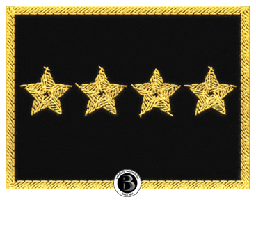 8Dan Sticker by Barreto Taekwondo