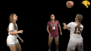 D3Soc Cuc19 GIF by CUCougars