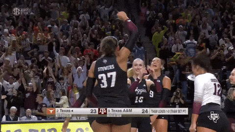 Texas Am Volleyball GIF by Texas A&M Athletics