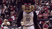excited cincinnati bearcats GIF by University of Cincinnati Athletics