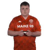 1 Fsv Mainz 05 Wtf Sticker by Bundesliga