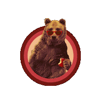 Pittsfield Coolbear Sticker by Bear Butter