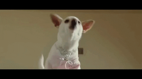 marie-adelecopin giphygifmaker GIF