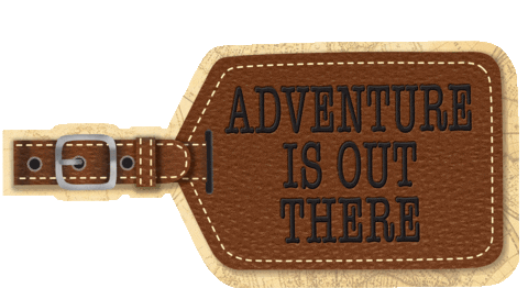 Travel Tag Sticker by Teacher Created Resources