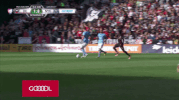 soccer dc GIF by D.C. United