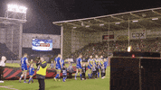 WarringtonRLFC wolves price hill stefan GIF