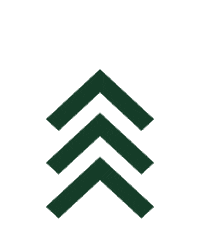 Grand Central Food Terminal Sticker by Grand Central