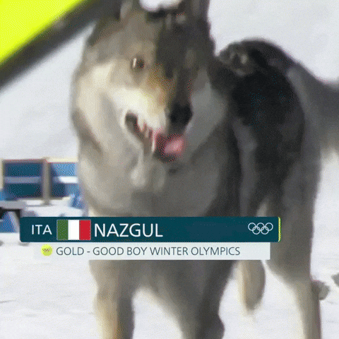 Happy Lets Go GIF
