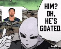 Seahawks Jsn GIF