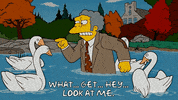 Season 18 Episode 6 GIF by The Simpsons