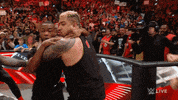 Sport Wwe GIF by USA Network