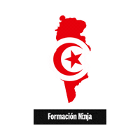 Tunisia Flag Sticker by Formación Ninja