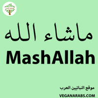 Allah GIF by VeganArabs