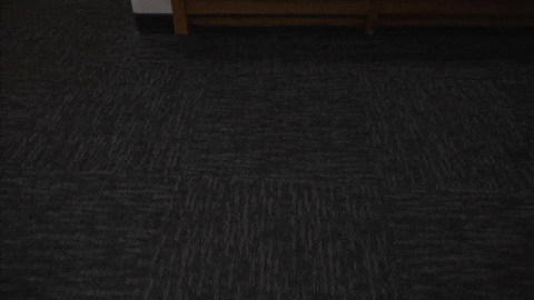 Football Nfl GIF by New England Patriots