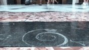 fossil GIF by WAMU