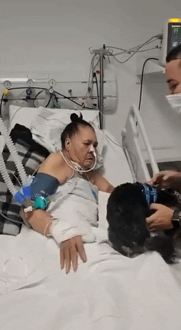 cuteanimalland giphyupload GIF