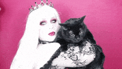 Black Cat Yes GIF by Lillee Jean