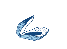 Summer Water Sticker by bartacolife