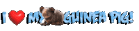 Guinea Pig Love Sticker